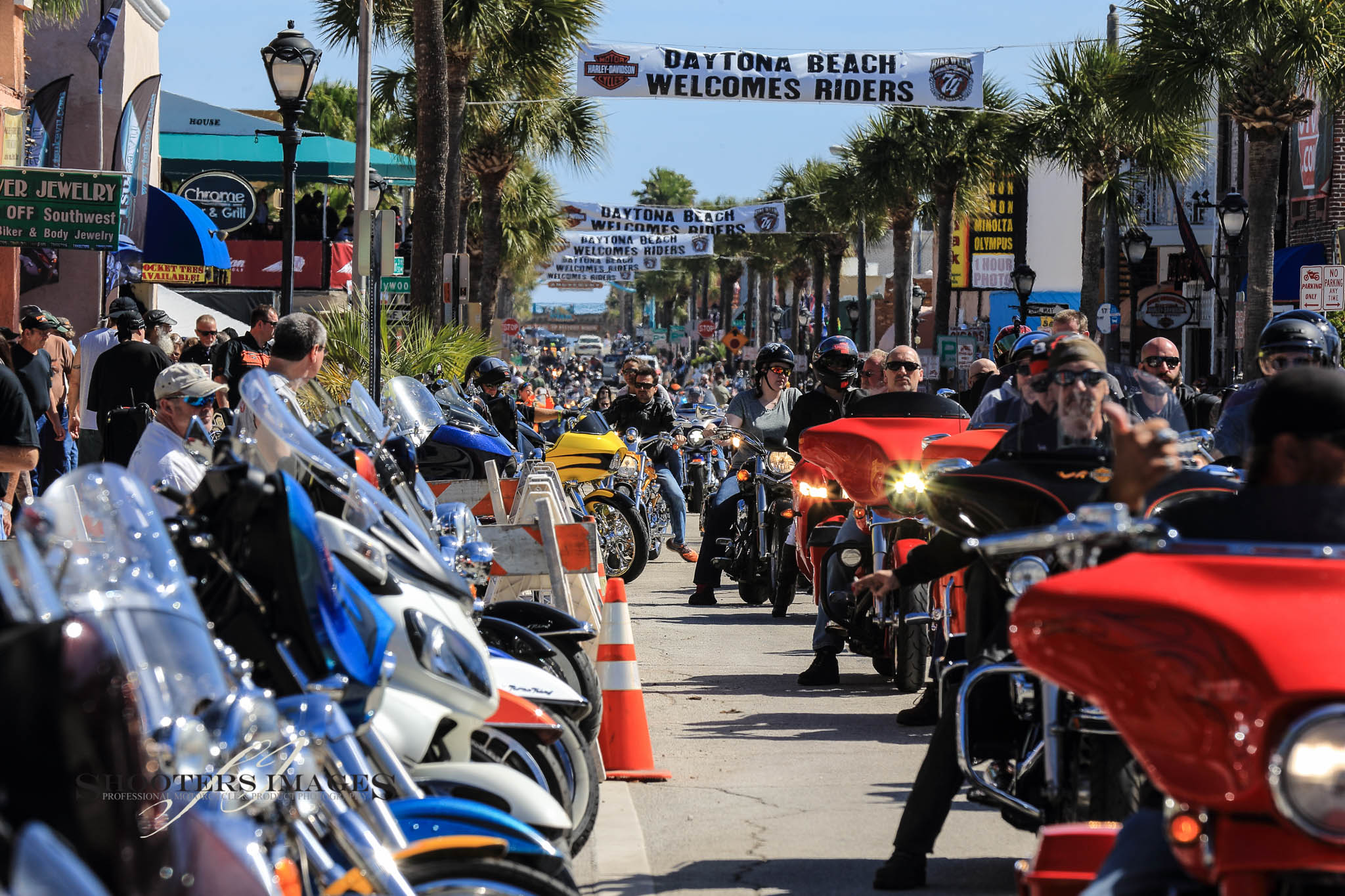 CALL ON THE BAT PHONE HEADING TO DAYTONA ON A SPORTSTER FOR SUSPENSI